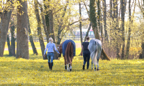 Vielseitigkeit-Radolfzell-April-2018-240