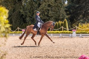 Weiherhof Eventing 2019