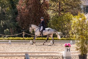 Weiherhof Eventing 2019