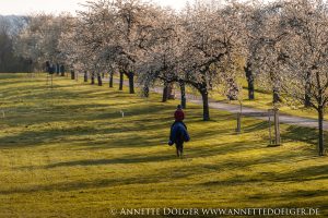 Weiherhof Eventing 2019