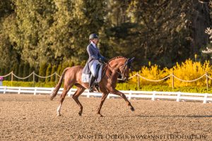 Weiherhof Eventing 2019