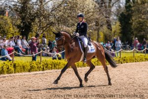 Weiherhof Eventing 2019