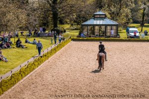 Weiherhof Eventing 2019