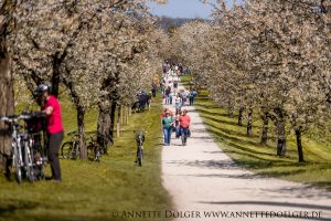 Weiherhof Eventing 2019