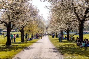 Weiherhof Eventing 2019