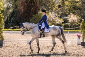 Weiherhof Eventing 2019